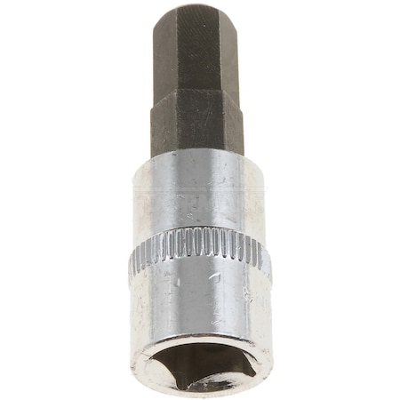 Motormite HEX SOCKET-3/8 IN 49015
